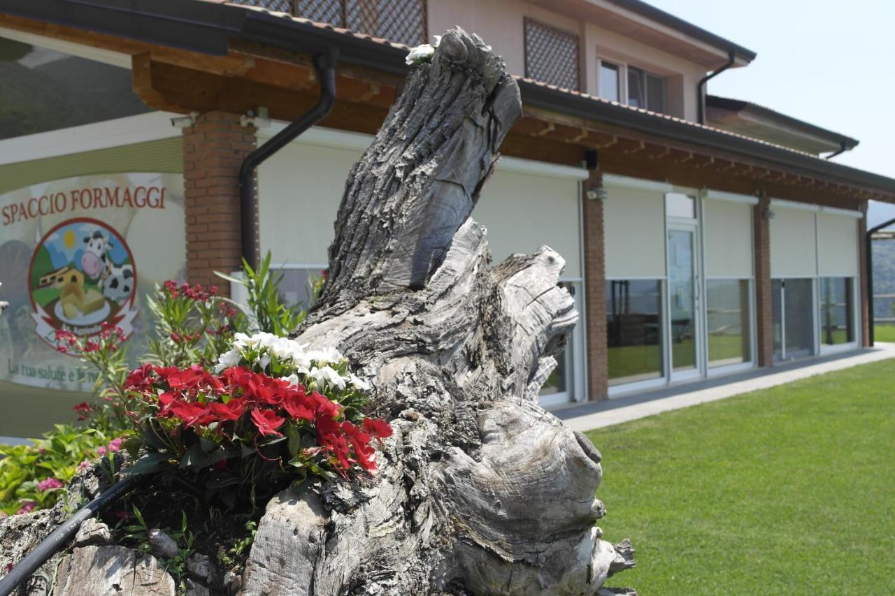 Agriturismo Fattoria Monte Baldo Vista Lago Caprino Veronese Exterior foto