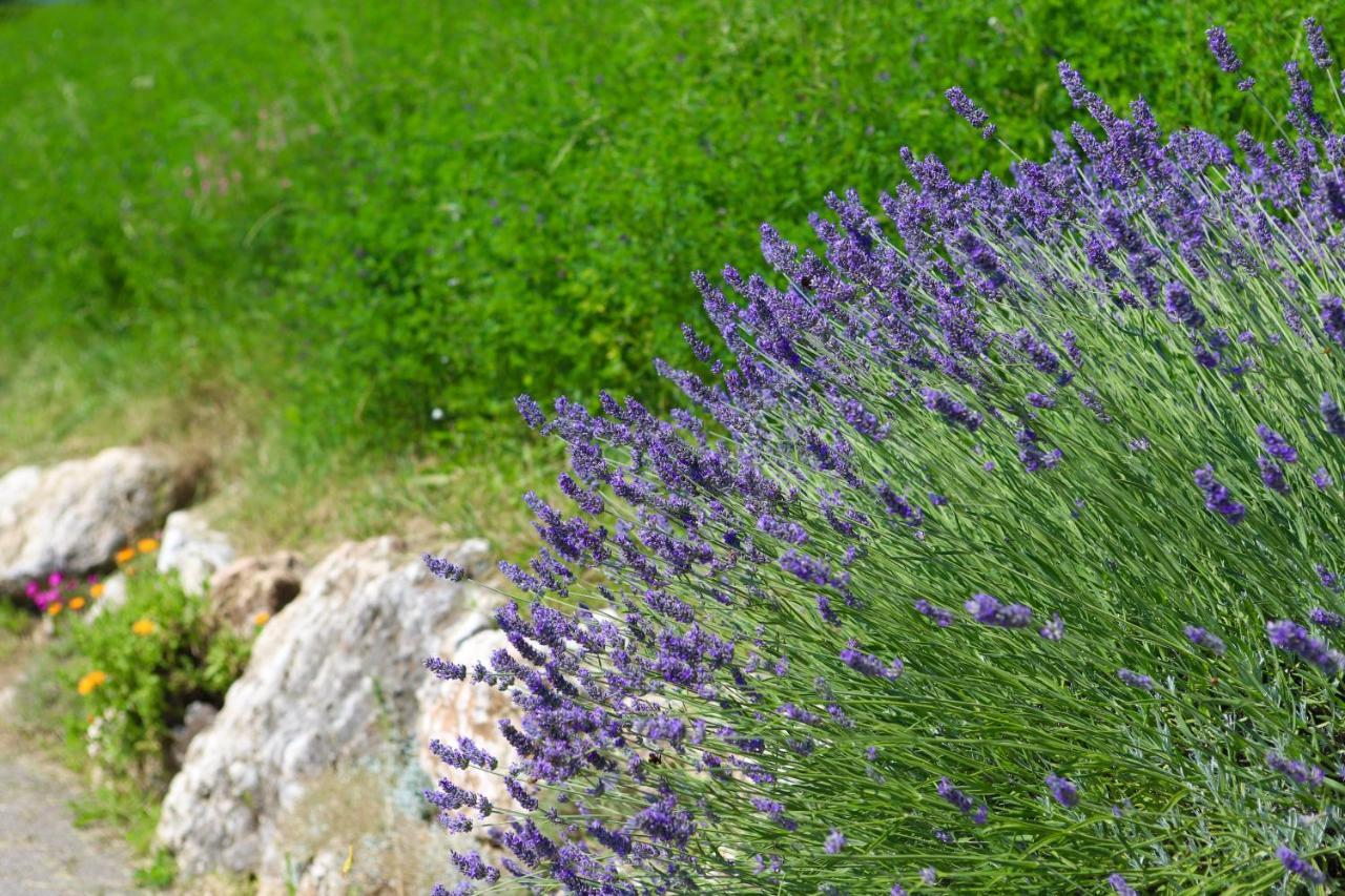 Agriturismo Fattoria Monte Baldo Vista Lago Caprino Veronese Exterior foto
